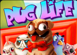 Pug Life